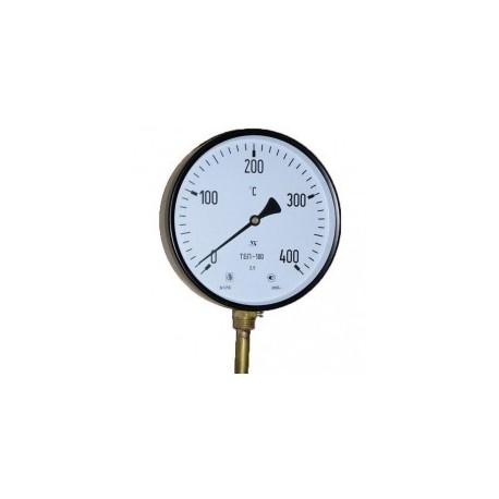 Термометр Беларусь ТБП-100