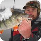 Зимняя ловля окуня на ультралайтовый спиннинг в Москве-реке