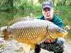 Как ловить красавца-карпа?