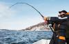 Какие снасти нужны для морской ловли?