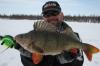Поиски крупного окуня зимой