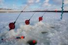 Как выбрать кивки или сторожки для подлёдной рыбалки