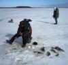 Рыбалка на Чудском озере зимой