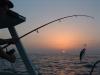 Рыбалка на острове Мальта