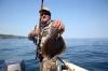 Рыбалка на камбалу в Чёрном море