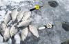 Зимняя рыбалка в Калмыкии