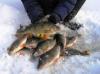 Особенности рыбалки по первому льду на малых реках