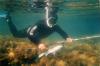 Особенности подводной охоты на Чёрном море