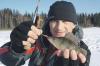 Зимняя ловля на Озернинском водохранилище