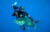 Основные трофеи подводной охоты в океане