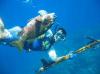 Подводная охота в Доминикане