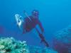 Морская рыбалка и подводная охота в Греции
