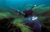 Подводная охота в Белоруссии