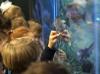 Проблемы уникального музея-аквариума в Хабаровске