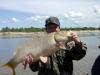 Рыбалка на реке Урал на сазана
