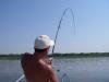 Рыбалка на реке и озере Тиса в Венгрии