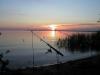 Бесплатная рыбалка в Ленинградской области