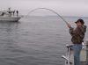 Рыбалка методом Bottom sea fishing