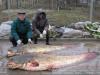 Рыбалка на Северском Донце
