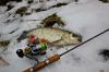 Рыбалка на голавля зимой по открытой воде