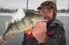 Зимняя ловля окуня на ультралайтовый спиннинг в Москве-реке